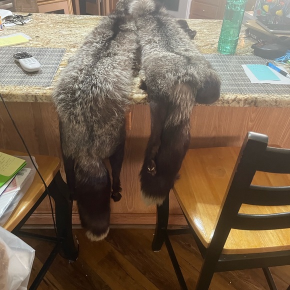 Elegant Fox wrap full bodies - Picture 6 of 13